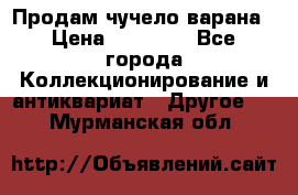 Продам чучело варана › Цена ­ 15 000 - Все города Коллекционирование и антиквариат » Другое   . Мурманская обл.